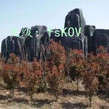 ĩ