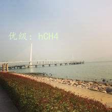 ˫