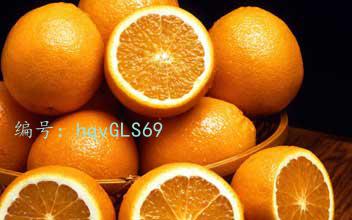 Ҫ