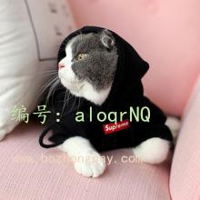 ֪