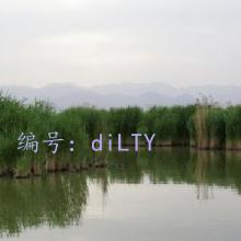 ״